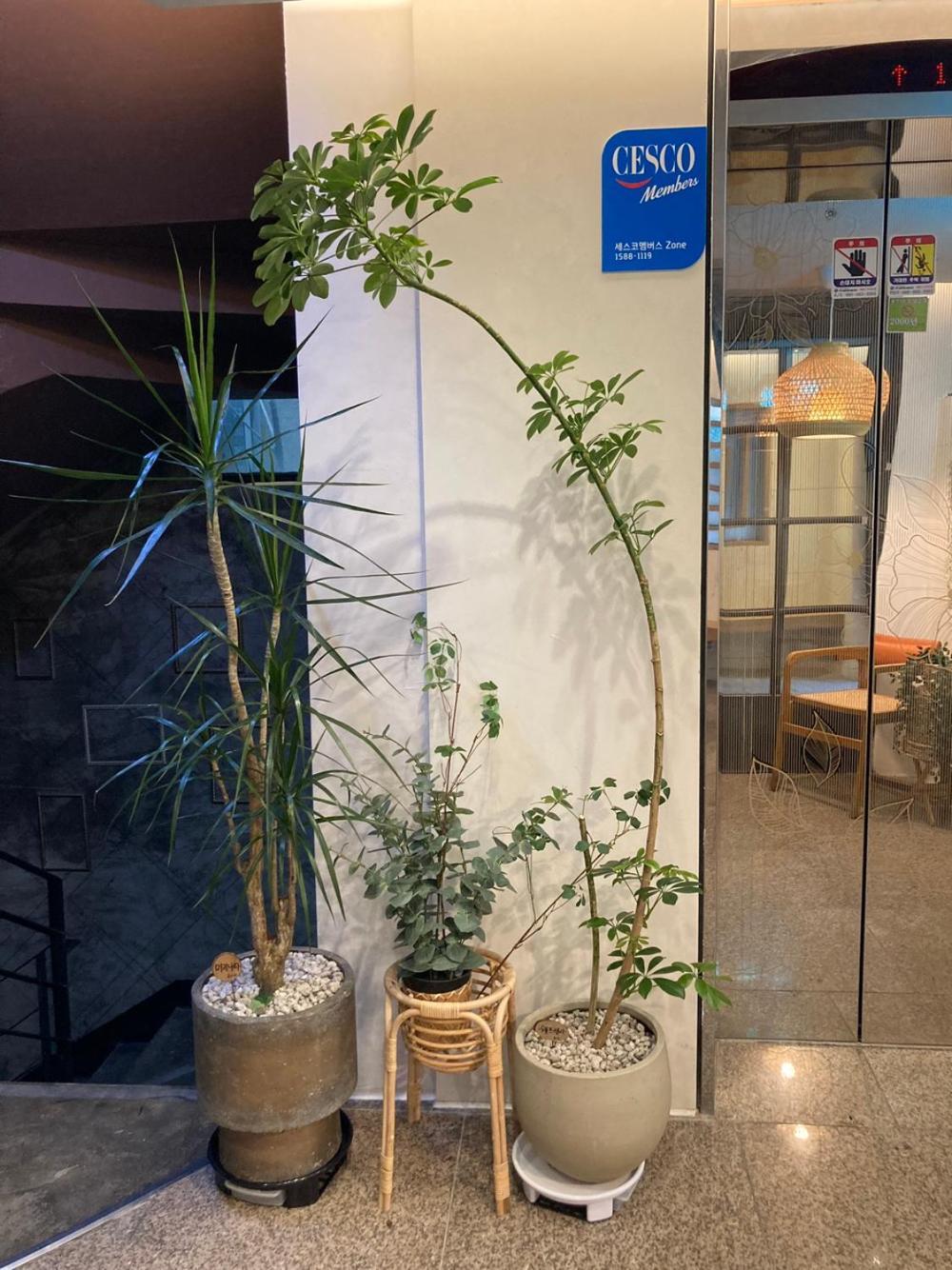 Hotel Less سيول المظهر الخارجي الصورة